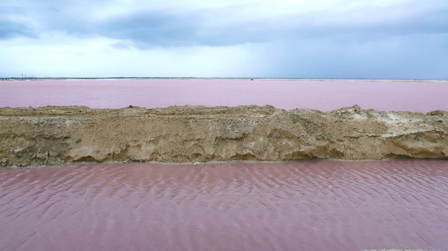 Mexico pink lakes